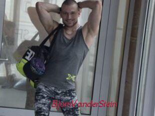 BjornVanderStein