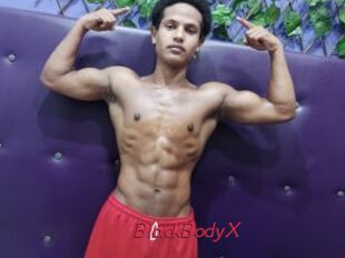 BlackBodyX