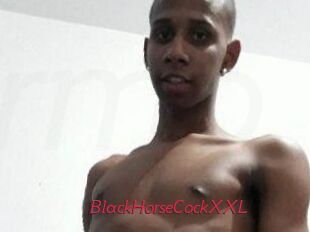 BlackHorseCockXXL