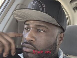 Black_owl