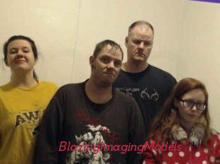 BlazingImagingModels