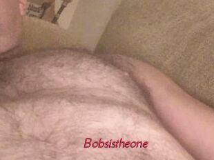 Bobsistheone