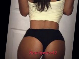 Brandywine42