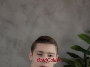 BredCollins Red Movie Post