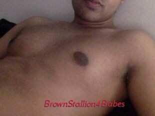 BrownStallion4Babes