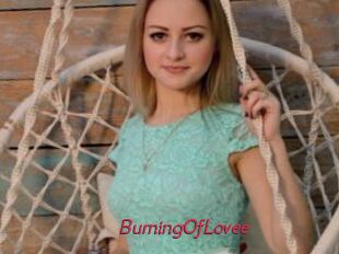 BurningOfLovee