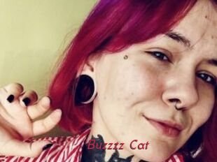 Buzzzz_Cat