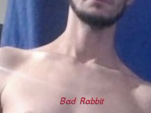 Bad_Rabbit