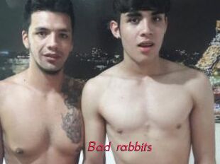 Bad_rabbits