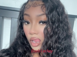 Barb1echey