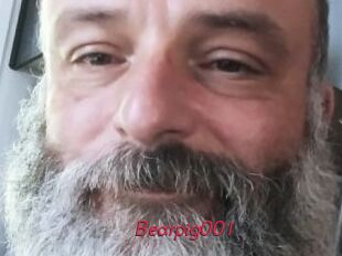 Bearpig001
