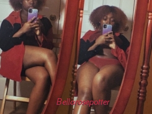 Bellarosepotter