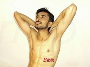 Bibin
