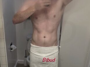 Bibud