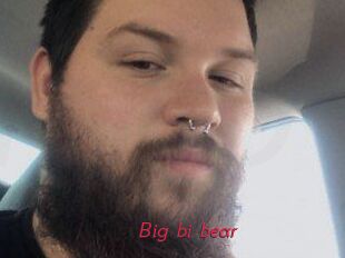 Big_bi_bear