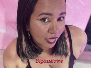 Bigasselaine