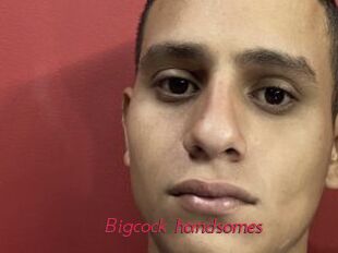 Bigcock_handsomes