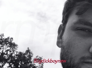 Bigdickboynew