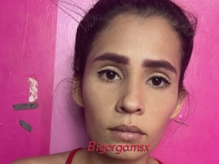 Bigorgamsx