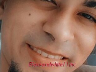 Blackandwhite11inc