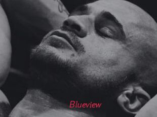 Blueview