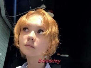 bonniehey Red Movie Post