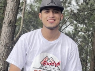 Bradgil