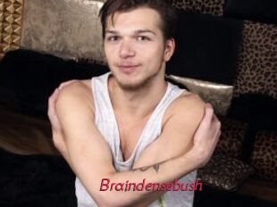 Braindensebush