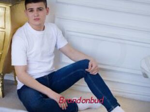 Brandonbud