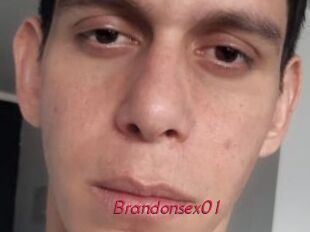 Brandonsex01