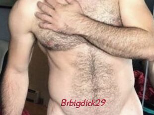 Brbigdick29