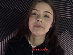 Breebaile