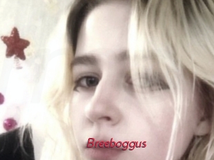 Breeboggus