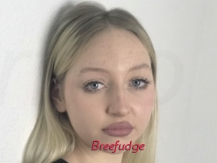 Breefudge