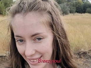 Breezysoul