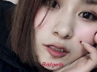 Bridgerils