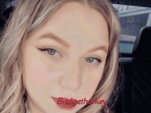 Bridgetharkey