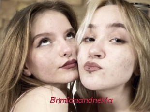 Brimlanandnelda