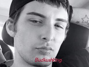 Budkushking