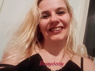 Bussydaisy