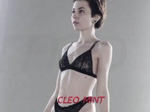 CLEO_MINT