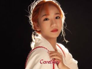 CarelAny