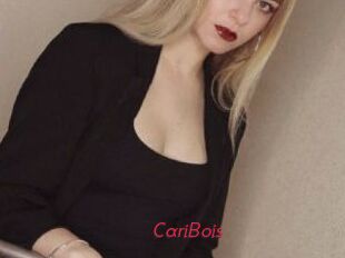 CariBois
