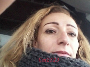 Cat2323