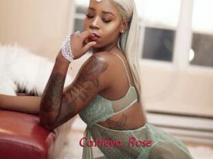Cattleya_Rose