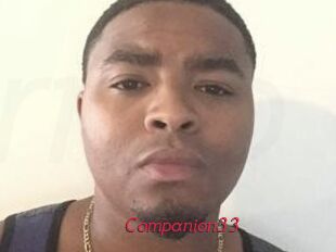 Companion33