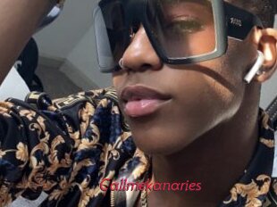 Callmekanaries