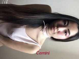 Camini