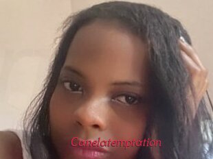 Canelatemptation
