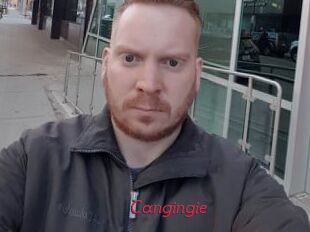 Cangingie